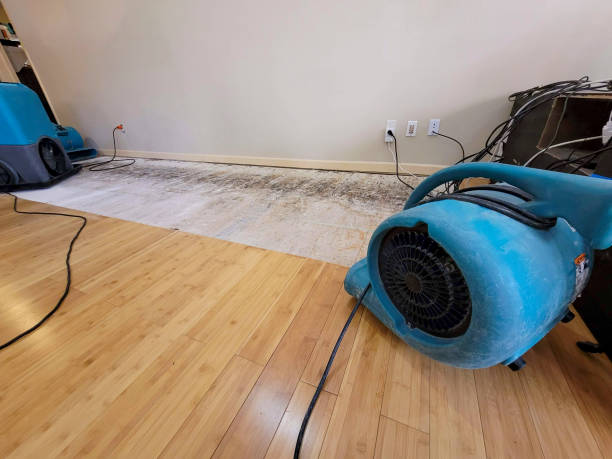 Professional Water Damage Repair technician working in Barnstead, NH